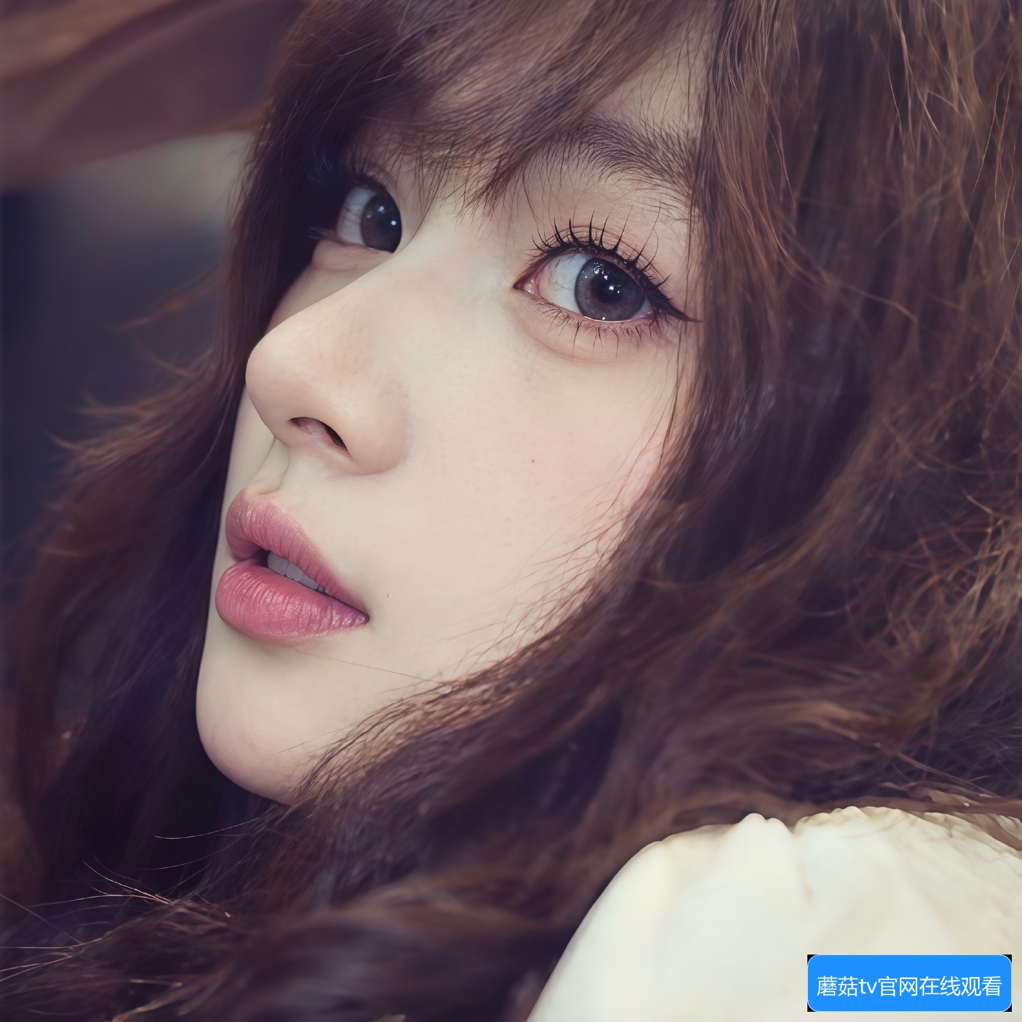 为什么蘑菇TV网页会出现三秒跳转问题以及如何解决