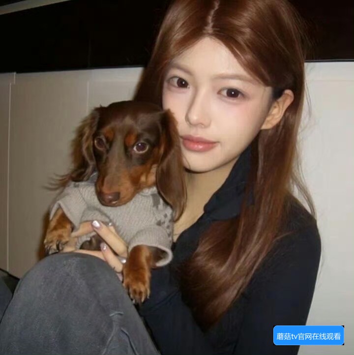 蘑菇TV传媒视频播放不流畅怎么办以及常见问题解答