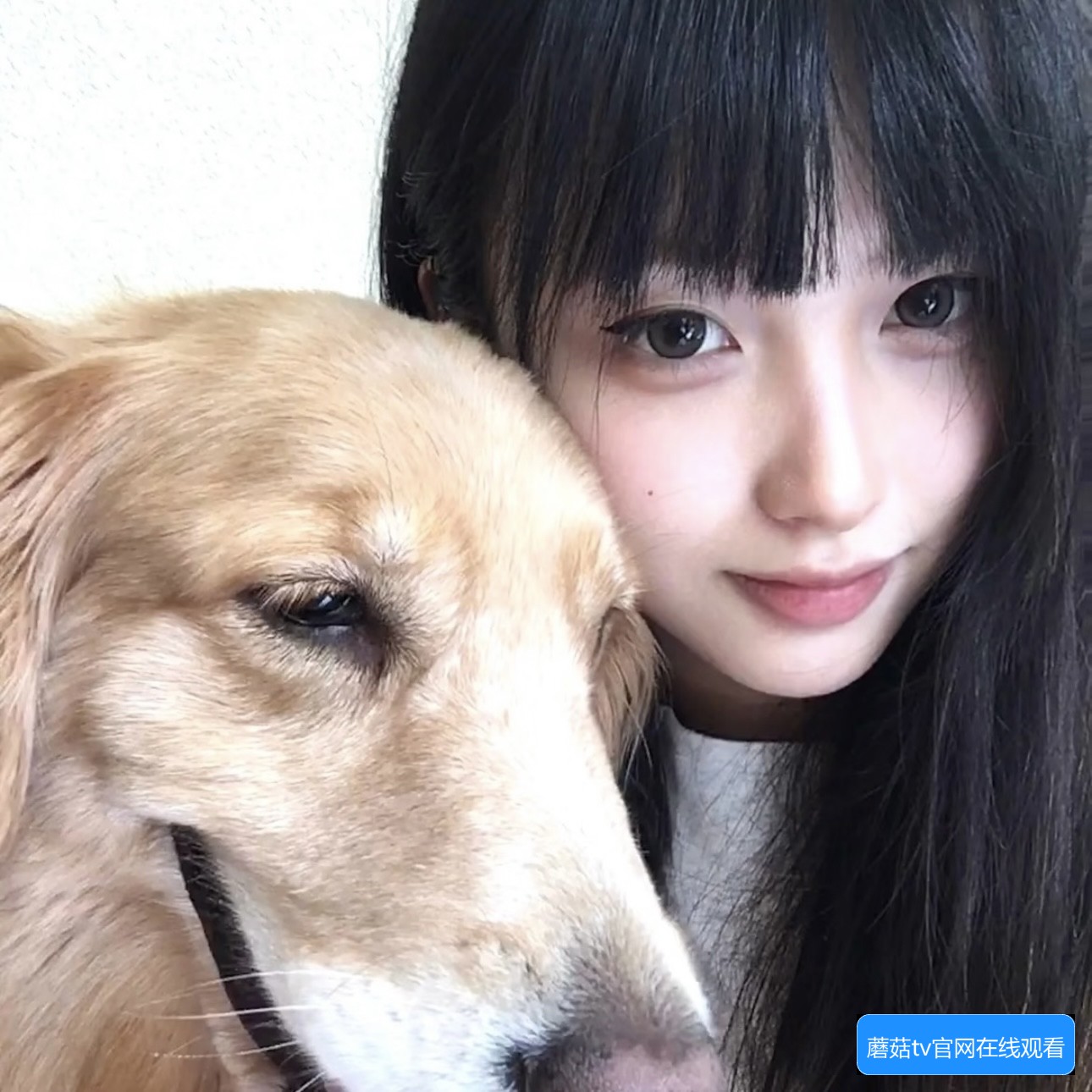 蘑菇TV官网有哪些功能和使用方法介绍